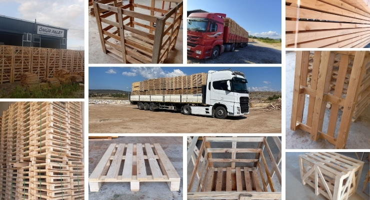 Söğüt Euro Palet Fiyatları